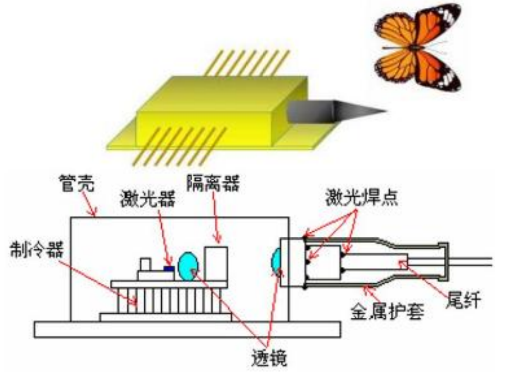 Schematic diagram of butterfly package laser
